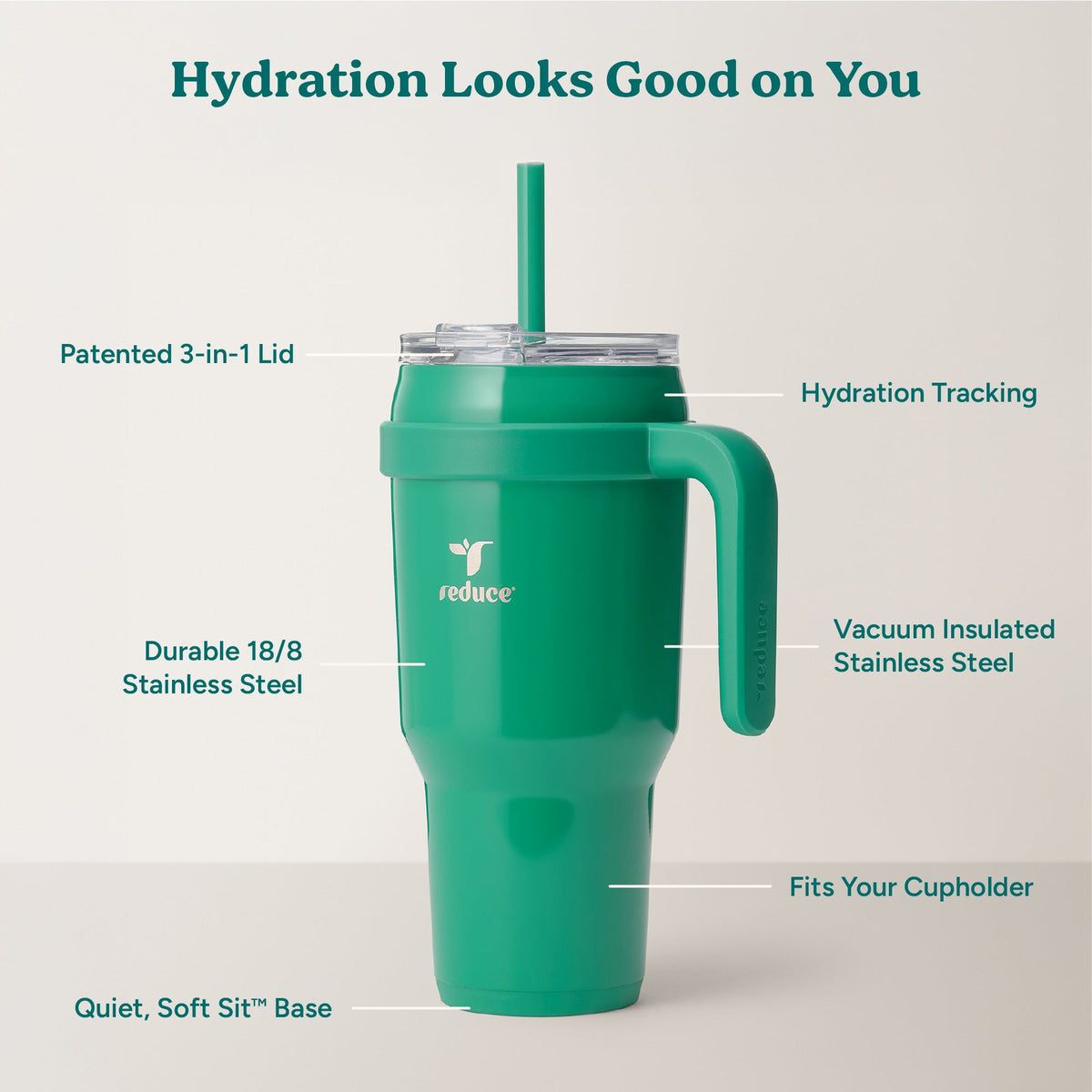 cold1-40-oz-t6 Cold1_40oz_PalmLeaf_Infographic_2.jpg