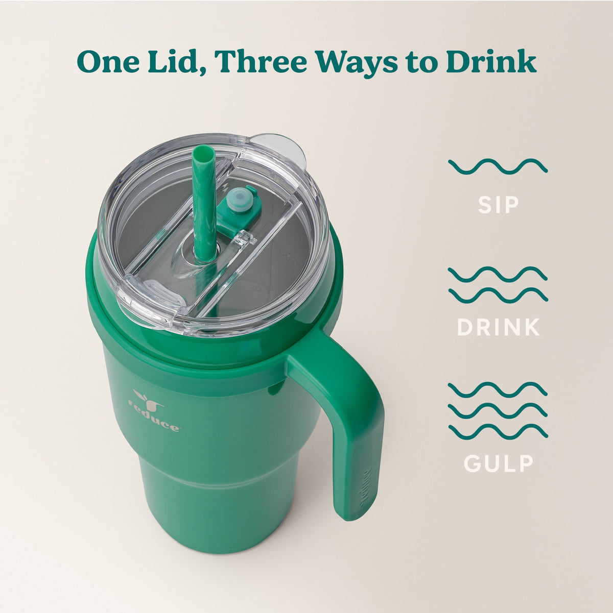 cold1-40-oz-t6 Cold1_40oz_PalmLeaf_Infographic_3.jpg